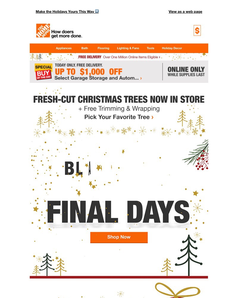 Screenshot of email with subject /media/emails/final-days-black-friday-prices-23b473-cropped-553445e8.jpg