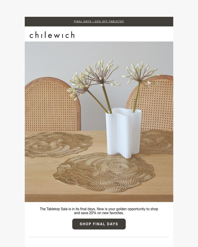 Screenshot of email with subject /media/emails/final-days-for-20-off-placemats-and-more-2077d8-cropped-addb2549.jpg
