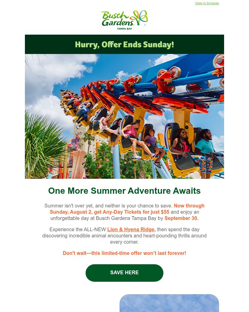 Screenshot of email with subject /media/emails/final-days-for-55-any-day-tickets-6fbbee-cropped-9322715b.jpg