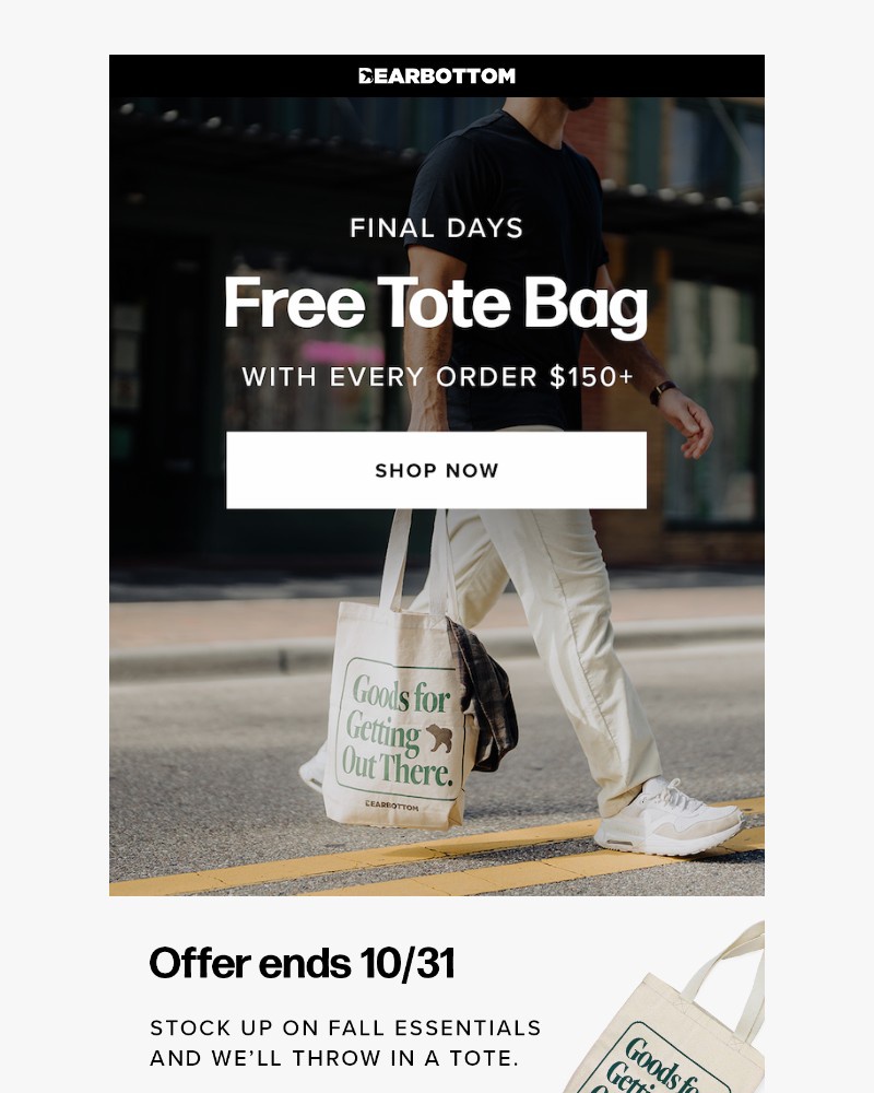 Screenshot of email with subject /media/emails/final-days-for-a-free-tote-bag-61d263-cropped-f07c733f.jpg