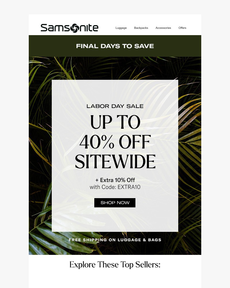 Screenshot of email with subject /media/emails/final-days-for-exclusive-savings-free-shipping-bb4ae9-cropped-e9566bb6.jpg