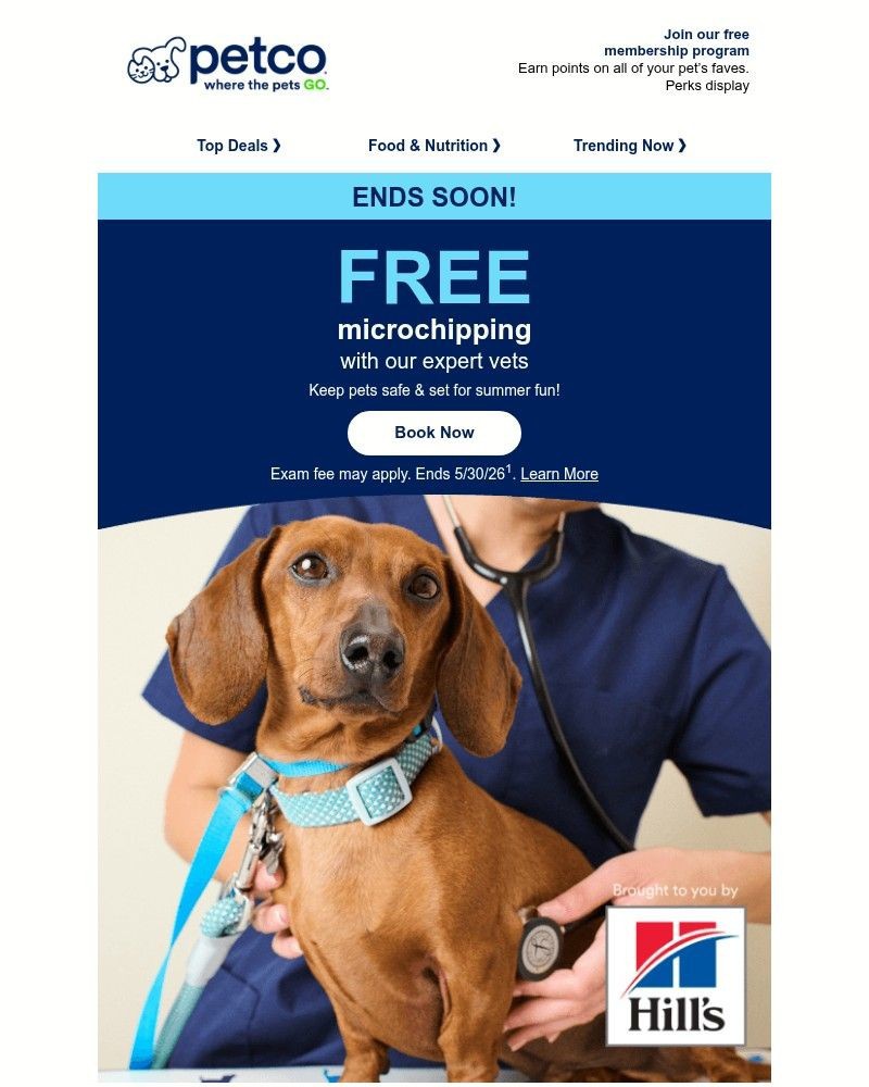 Screenshot of email sent to a Petco Newsletter subscriber