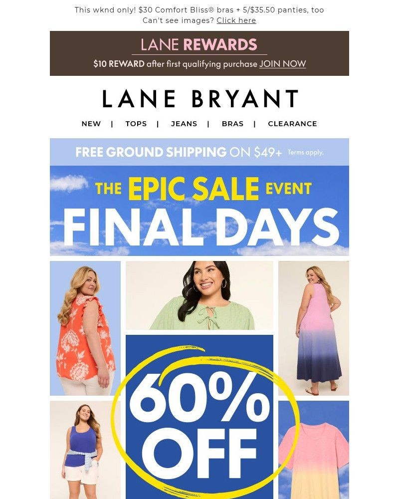 Screenshot of email sent to a Lane Bryant Newsletter subscriber