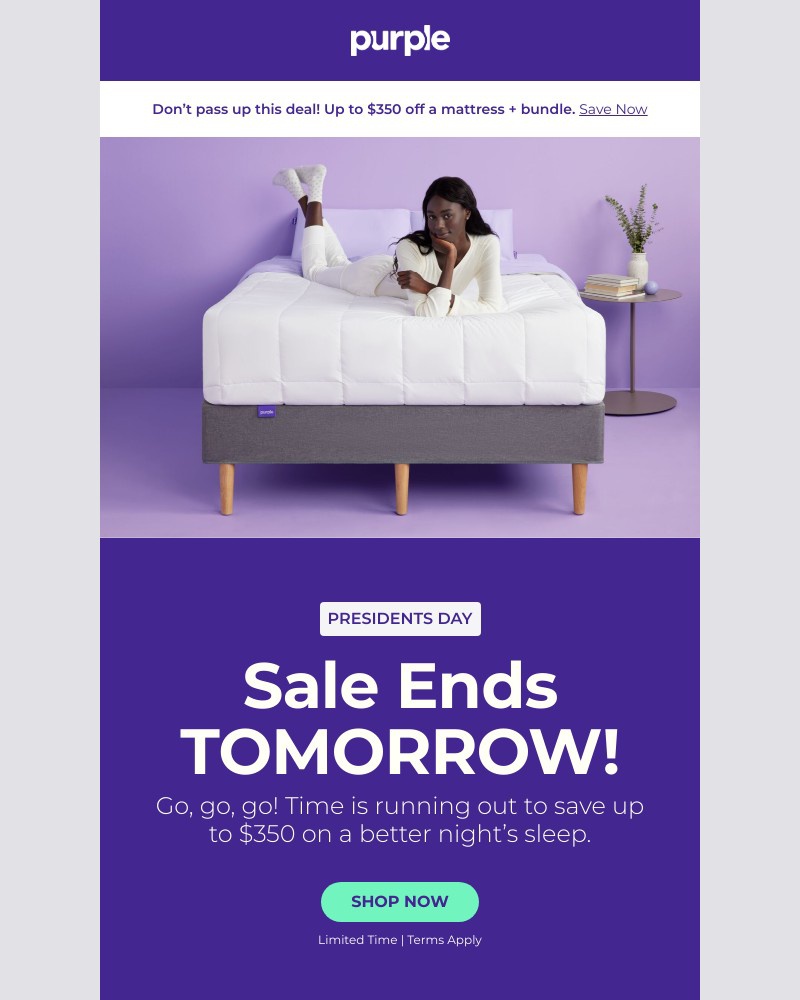Screenshot of email with subject /media/emails/final-days-presidents-day-sale-bab87c-cropped-e447ed39.jpg