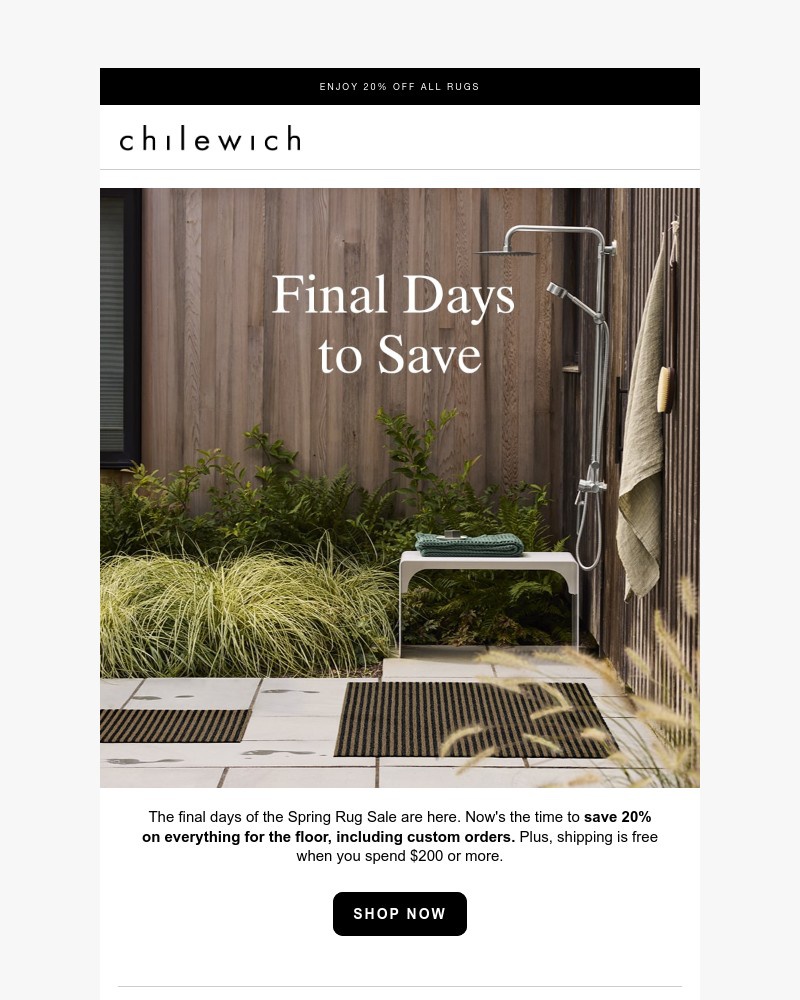 Screenshot of email with subject /media/emails/final-days-spring-rug-sale-be2288-cropped-813492a4.jpg