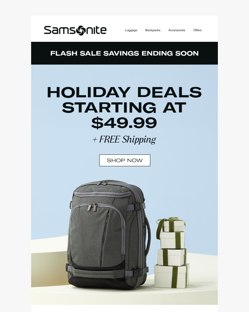 Screenshot of email with subject /media/emails/final-days-to-save-up-to-300-on-select-luggage-bags-bc8513-cropped-7bcd5717.jpg