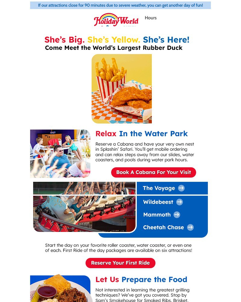 Screenshot of email sent to a Holiday World Newsletter subscriber