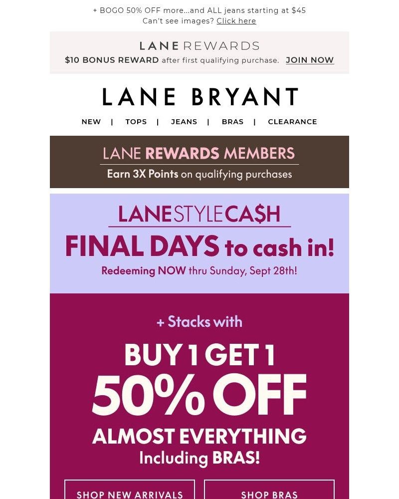 Screenshot of email with subject /media/emails/final-days-to-use-your-lane-style-cash-1f9014-cropped-5aa48044.jpg