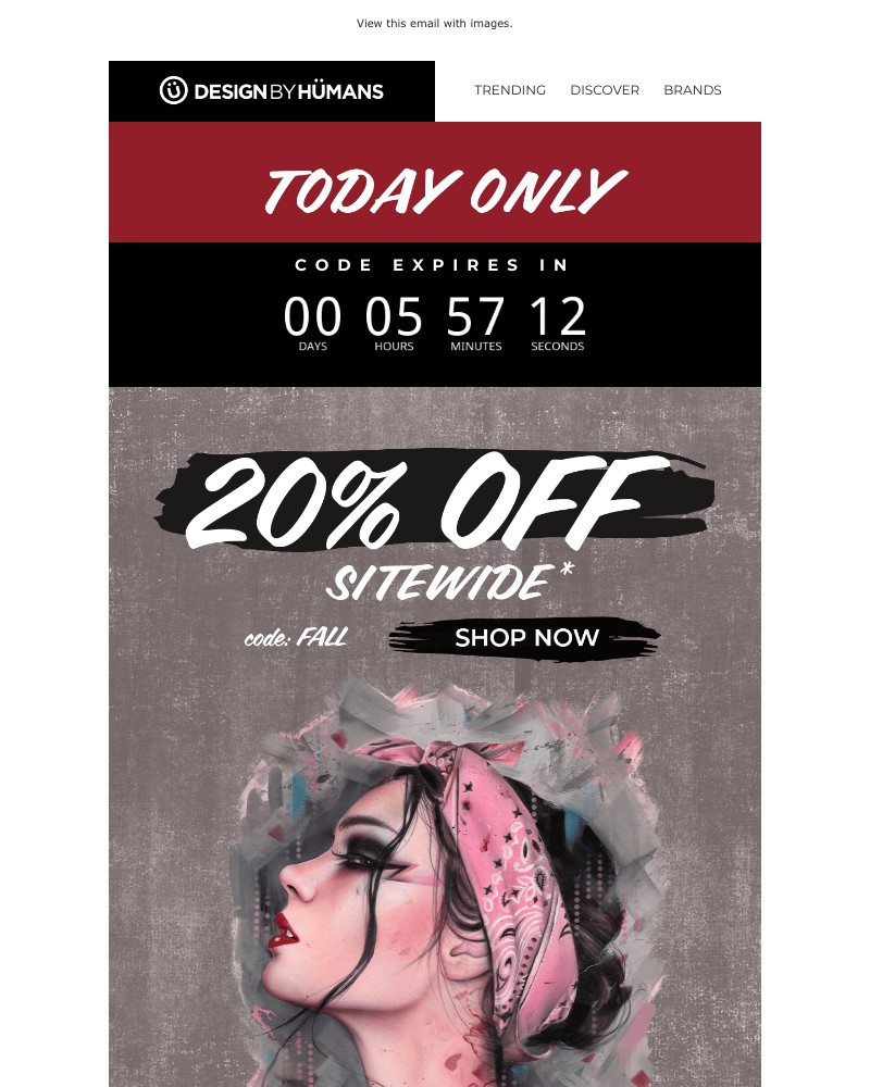 Screenshot of email with subject /media/emails/final-flash-sale-alert-20-off-9565c2-cropped-5f88877a.jpg