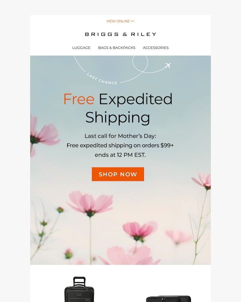 Screenshot of email with subject /media/emails/final-hour-free-expedited-shipping-160d56-cropped-547869f6.jpg
