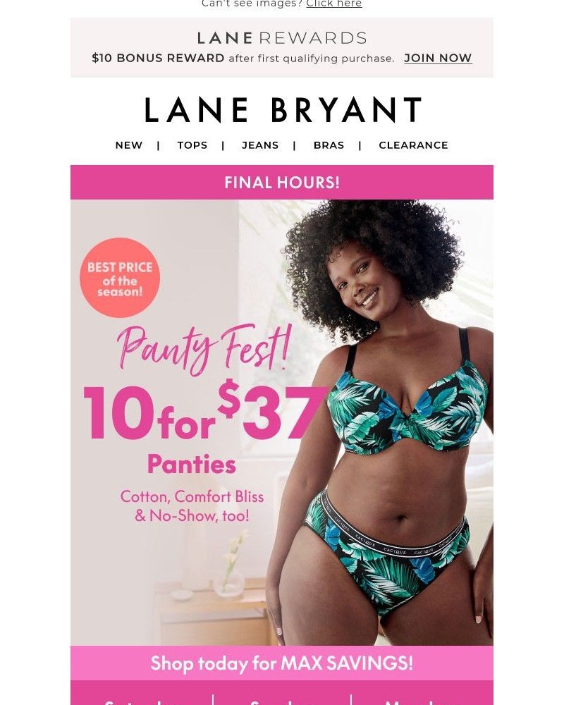 Screenshot of email with subject /media/emails/final-hours-1037-panties-best-price-of-the-szn-1d96f4-cropped-29d64576.jpg
