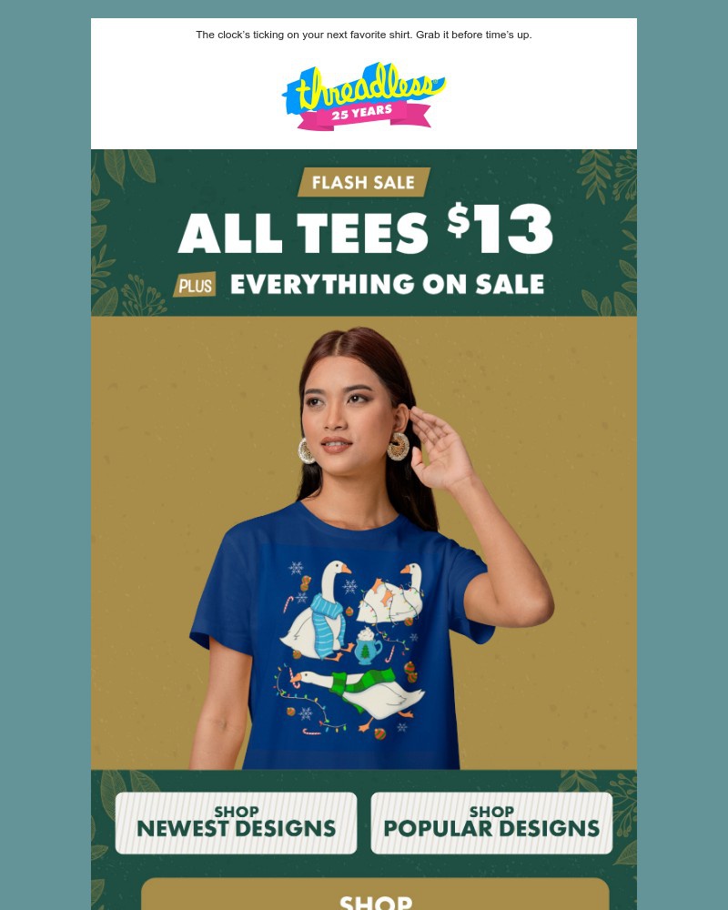 Screenshot of email with subject /media/emails/final-hours-13-tees-almost-gone-daeb6d-cropped-6c61eca3.jpg