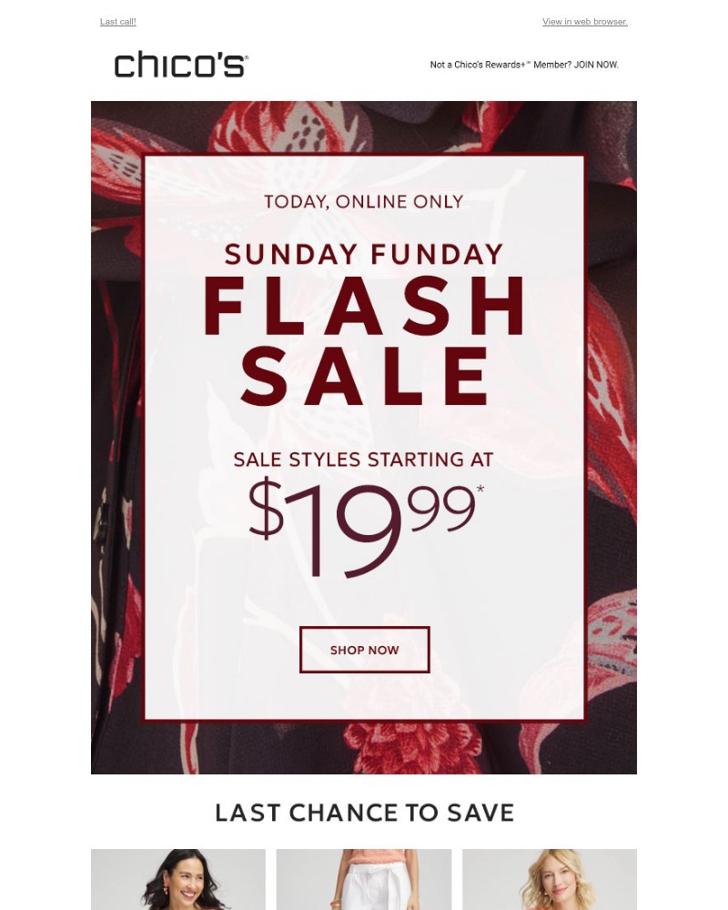 Screenshot of email with subject /media/emails/final-hours-1999-sale-styles-c19646-cropped-504c1b6d.jpg