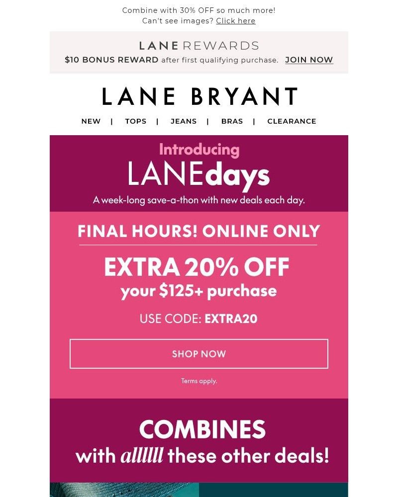 Screenshot of email with subject /media/emails/final-hours-20-off-125-purchase-535c89-cropped-bd35b8a1.jpg