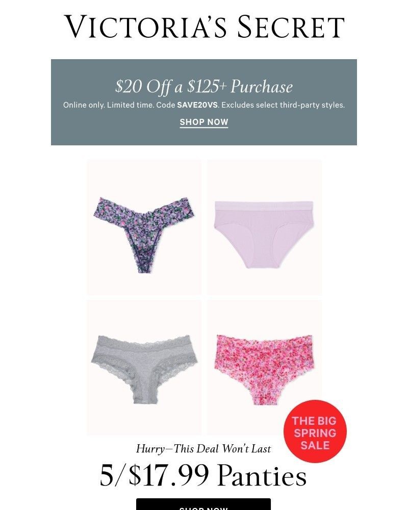 Screenshot of email with subject /media/emails/final-hours-20-off-51799-panties-cafa2f-cropped-b2f3c400.jpg