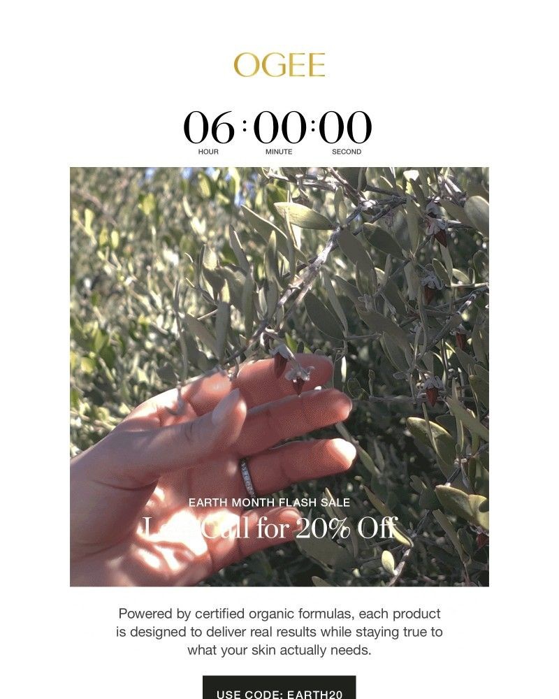 Screenshot of email with subject /media/emails/final-hours-20-off-ends-tonight-b4efb4-cropped-fe9e7236.jpg