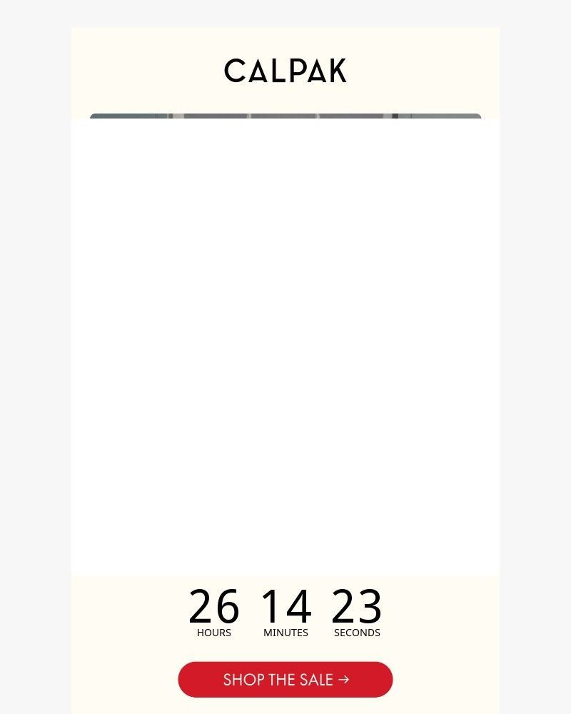 Screenshot of email sent to a Calpak Newsletter subscriber