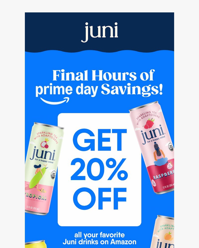 Screenshot of email with subject /media/emails/final-hours-20-off-for-prime-day-ends-at-midnight-d93d7a-cropped-c198c726.jpg