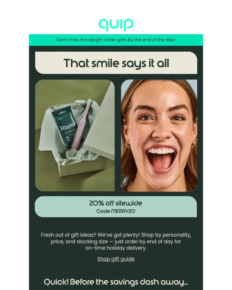 Screenshot of email with subject /media/emails/final-hours-20-off-holiday-delivery-a2c623-cropped-447ccaf9.jpg