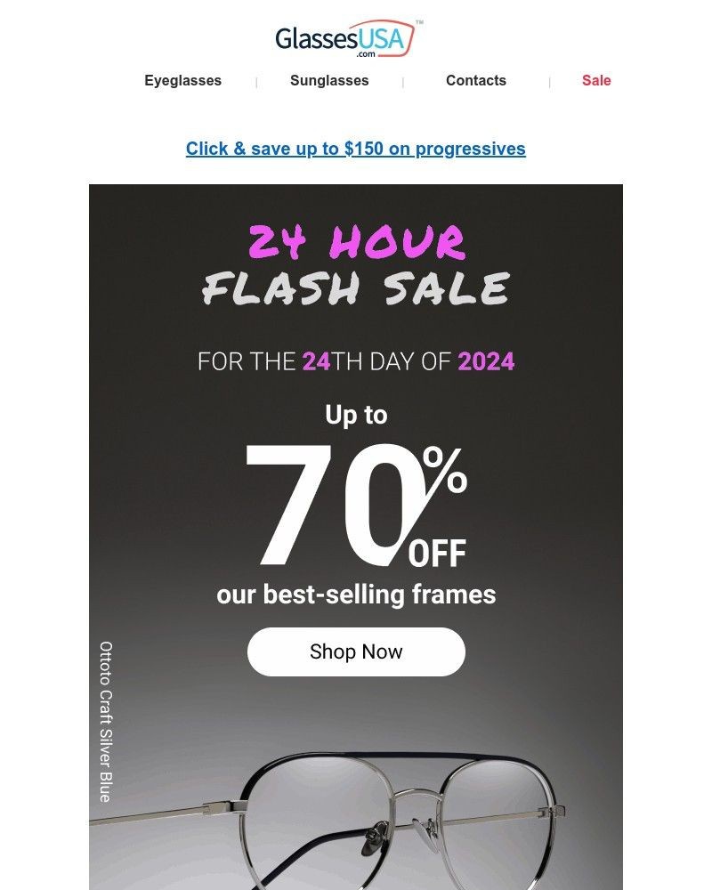 Screenshot of email with subject /media/emails/final-hours-24th-day-of-2024-flash-sale-cf8677-cropped-69427cf5.jpg