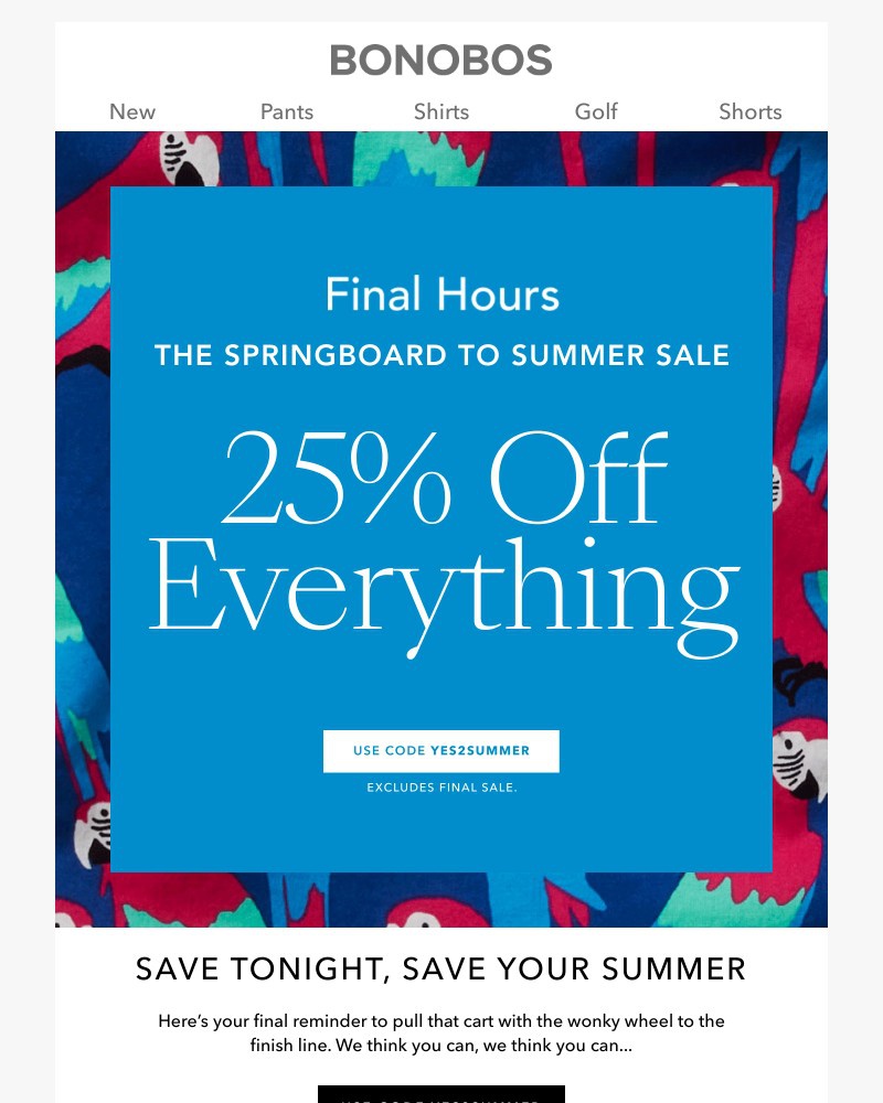 Screenshot of email with subject /media/emails/final-hours-25-off-everything-ends-tonight-1a077a-cropped-060de4c2.jpg