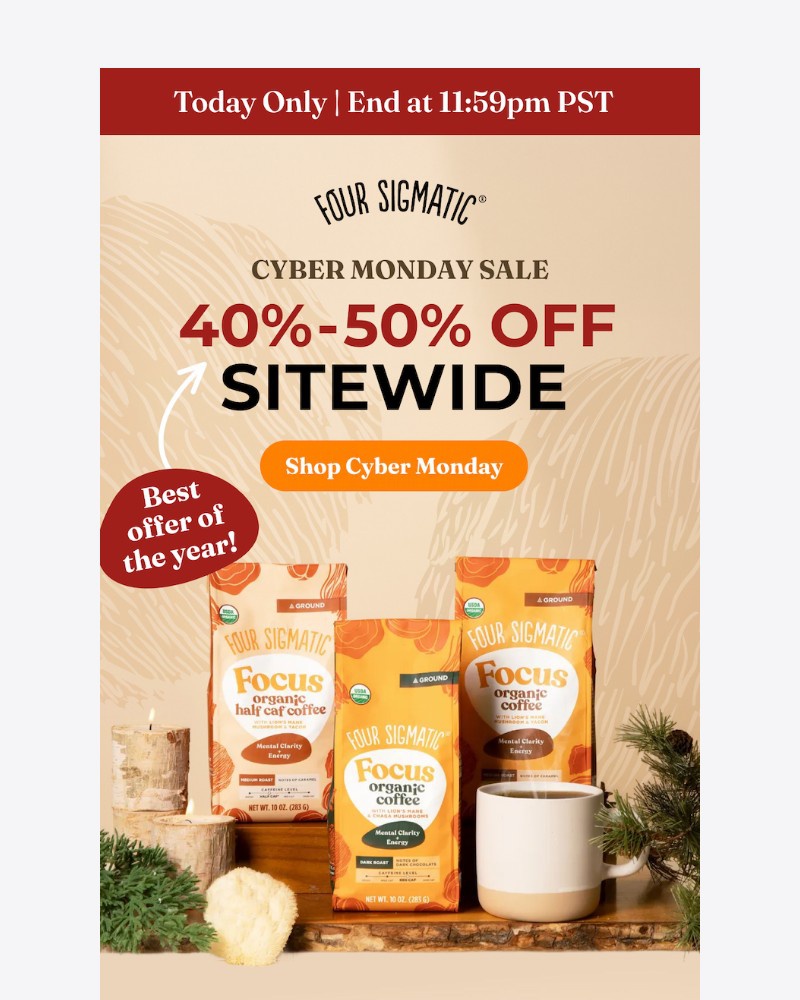 Screenshot of email with subject /media/emails/final-hours-40-50-off-c469d1-cropped-99cc60e6.jpg