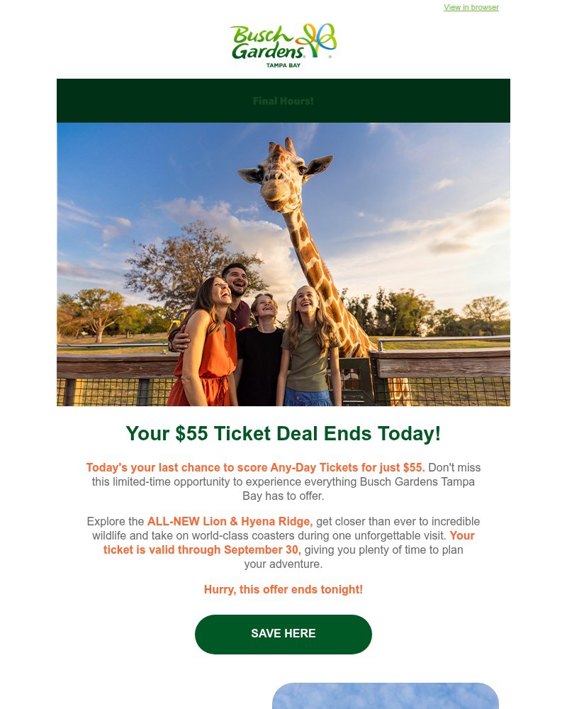 Screenshot of email sent to a Busch Gardens Newsletter subscriber