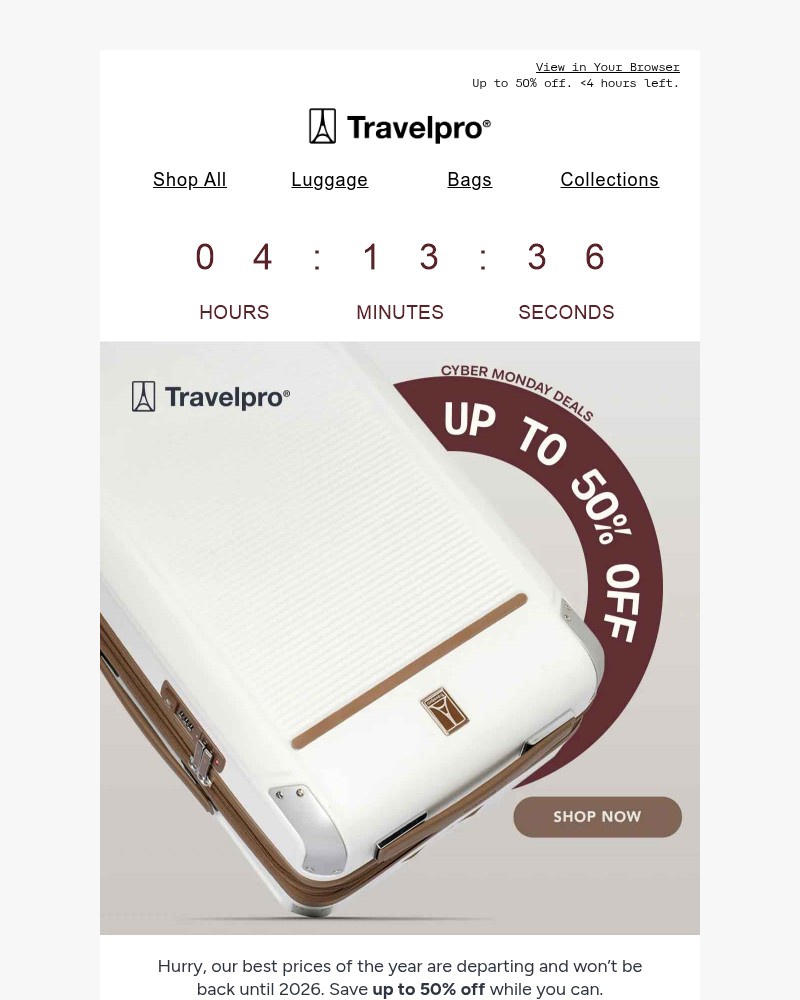 Screenshot of email sent to a Travelpro Newsletter subscriber