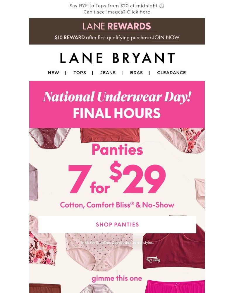 Screenshot of email with subject /media/emails/final-hours-729-panties-are-flying-off-the-shelves-f84133-cropped-73925b84.jpg