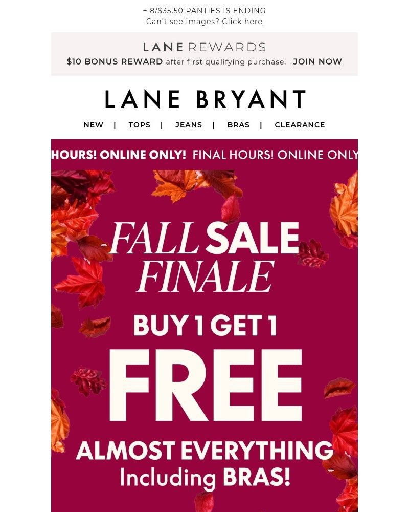 Screenshot of email with subject /media/emails/final-hours-a-bogo-free-bonanza-you-cannot-miss-7e9c4a-cropped-729f1ce0.jpg