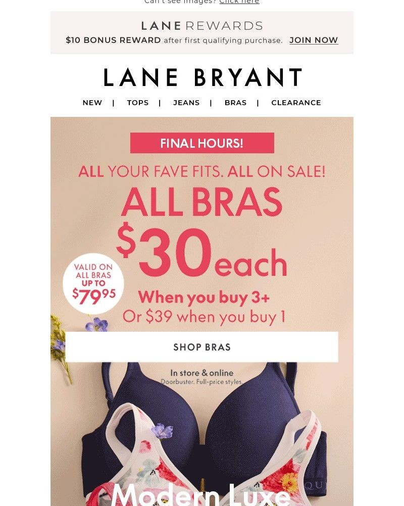 Screenshot of email with subject /media/emails/final-hours-all-bras-30-when-you-buy-3-14f865-cropped-712671f9.jpg