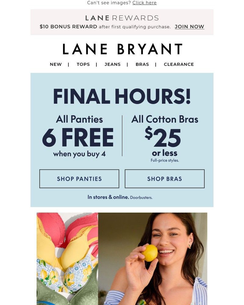 Screenshot of email with subject /media/emails/final-hours-all-panties-6-free-when-you-buy-4-d850de-cropped-8c4247ca.jpg