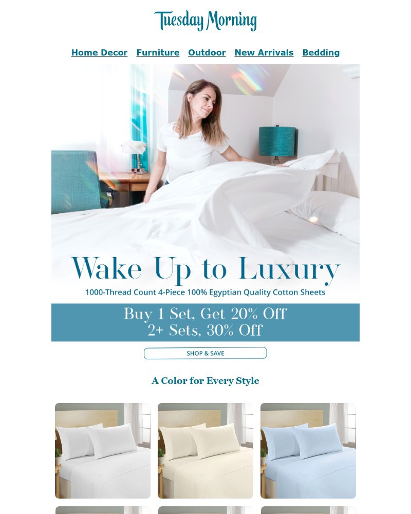Screenshot of email with subject /media/emails/final-hours-best-selling-egyptian-cotton-sheets-now-up-to-30-off-a3b0ec-cropped-c97a7fc6.jpg