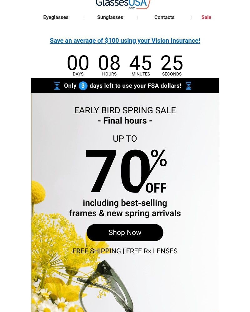 Screenshot of email with subject /media/emails/final-hours-early-bird-spring-sale-ends-at-midnight-266e72-cropped-6e9dc47c.jpg