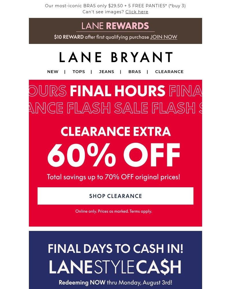 Screenshot of email sent to a Lane Bryant Newsletter subscriber