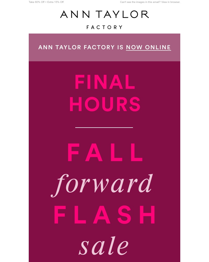 Screenshot of email with subject /media/emails/final-hours-fall-forward-flash-sale-ends-soon-cropped-5160dfea.jpg