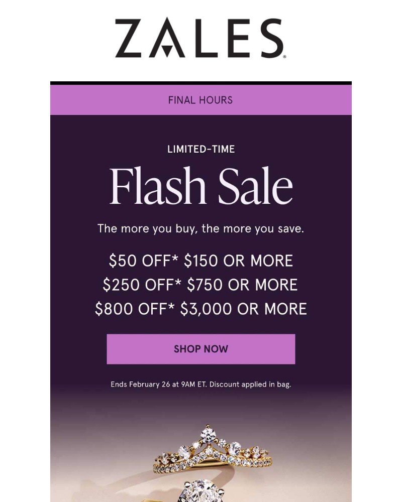 Screenshot of email with subject /media/emails/final-hours-flash-sale-b0ba57-cropped-0a3f69ca.jpg