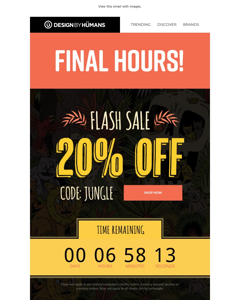 Screenshot of email with subject /media/emails/final-hours-for-20-off-1-cropped-34b27d11.jpg