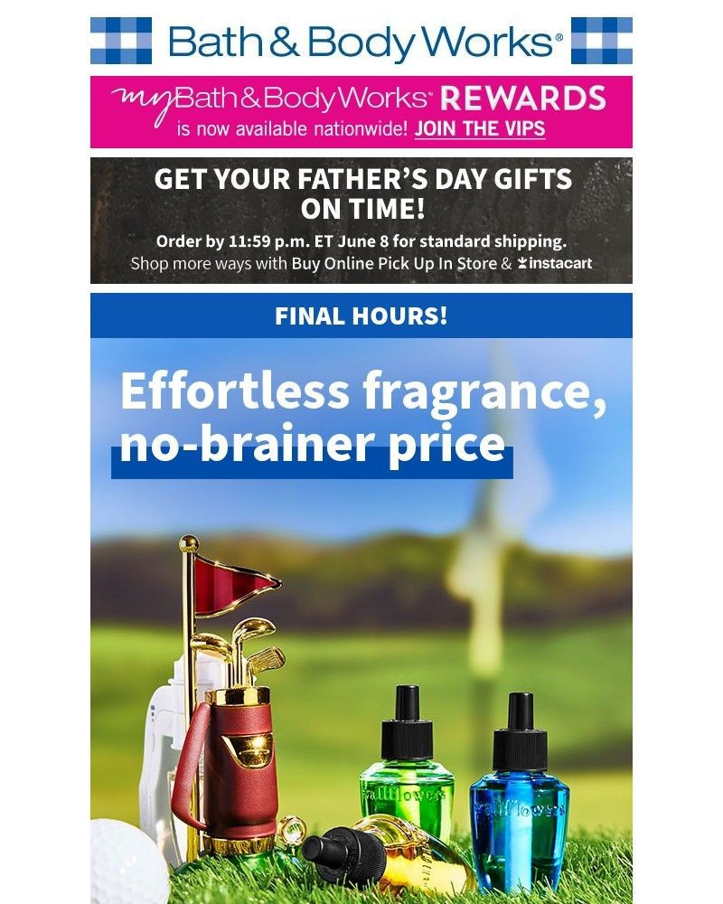 Screenshot of email with subject /media/emails/final-hours-for-350-wallflowers-9908c3-cropped-ac04dbec.jpg