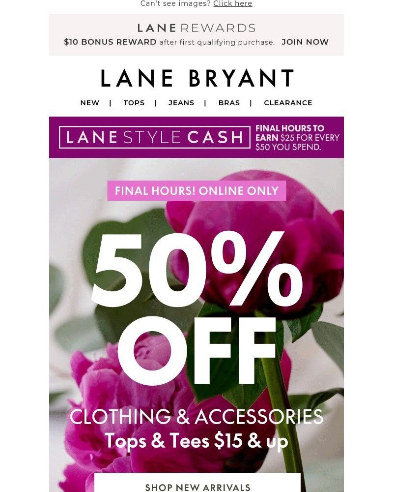 Screenshot of email with subject /media/emails/final-hours-for-50-off-your-spring-wardrobe-6ff574-cropped-6b3d95e0.jpg