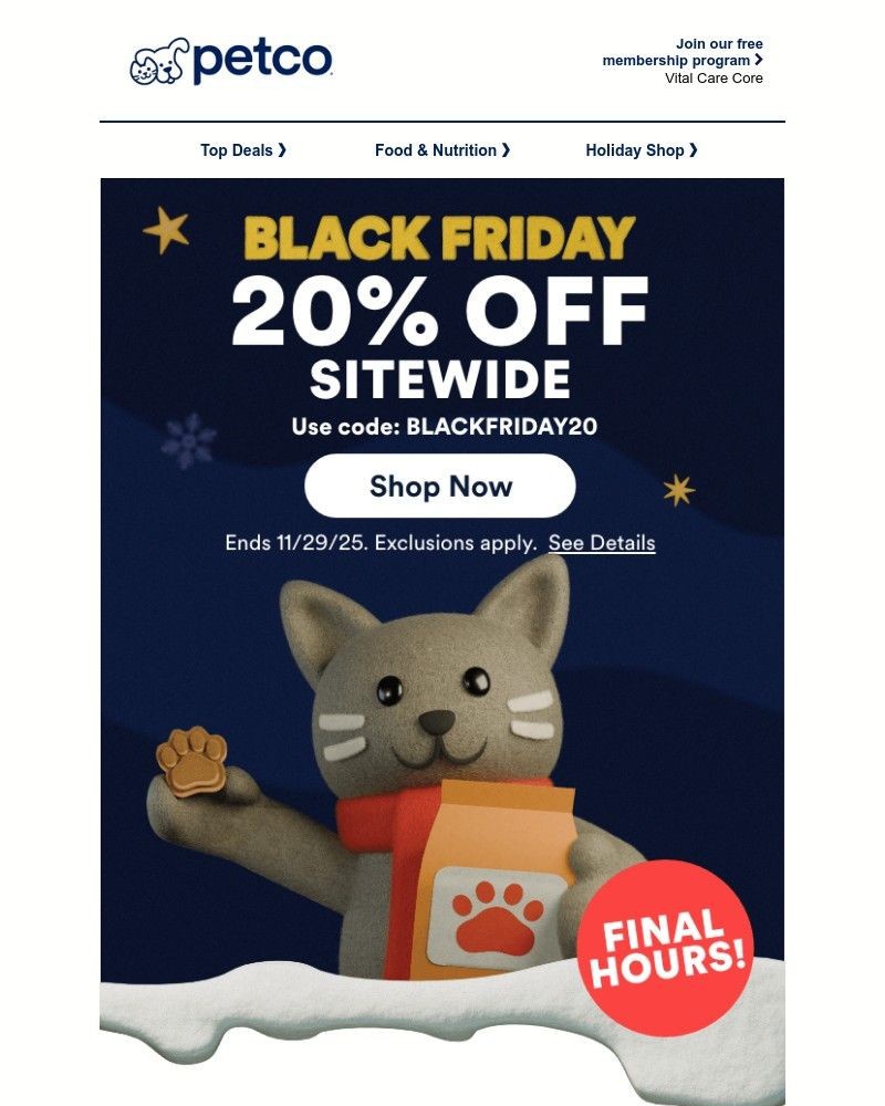 Screenshot of email with subject /media/emails/final-hours-for-black-friday-01db94-cropped-826b1c42.jpg