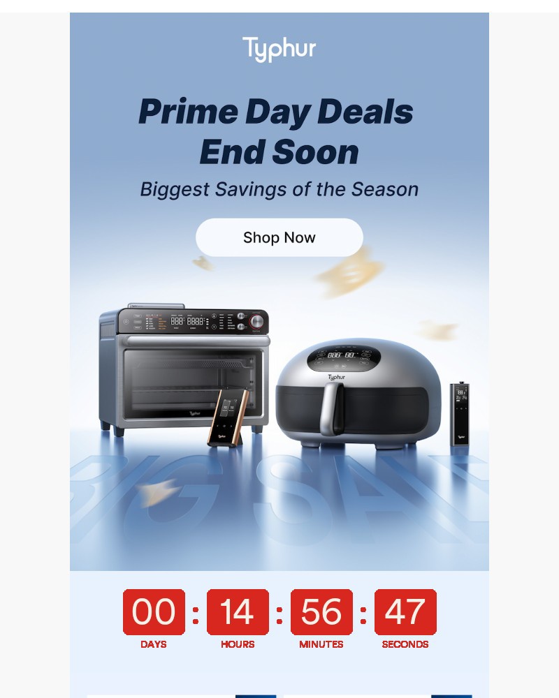 Screenshot of email sent to a Typhur Newsletter subscriber