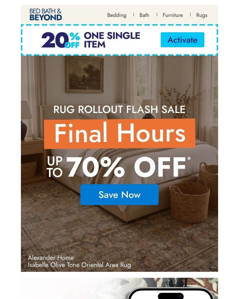 Screenshot of email with subject /media/emails/final-hours-for-up-to-70-off-rugs-5ac1f2-cropped-42522ce2.jpg