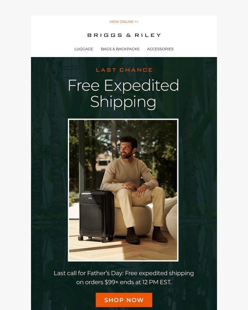 Screenshot of email sent to a Briggs & Riley Newsletter subscriber