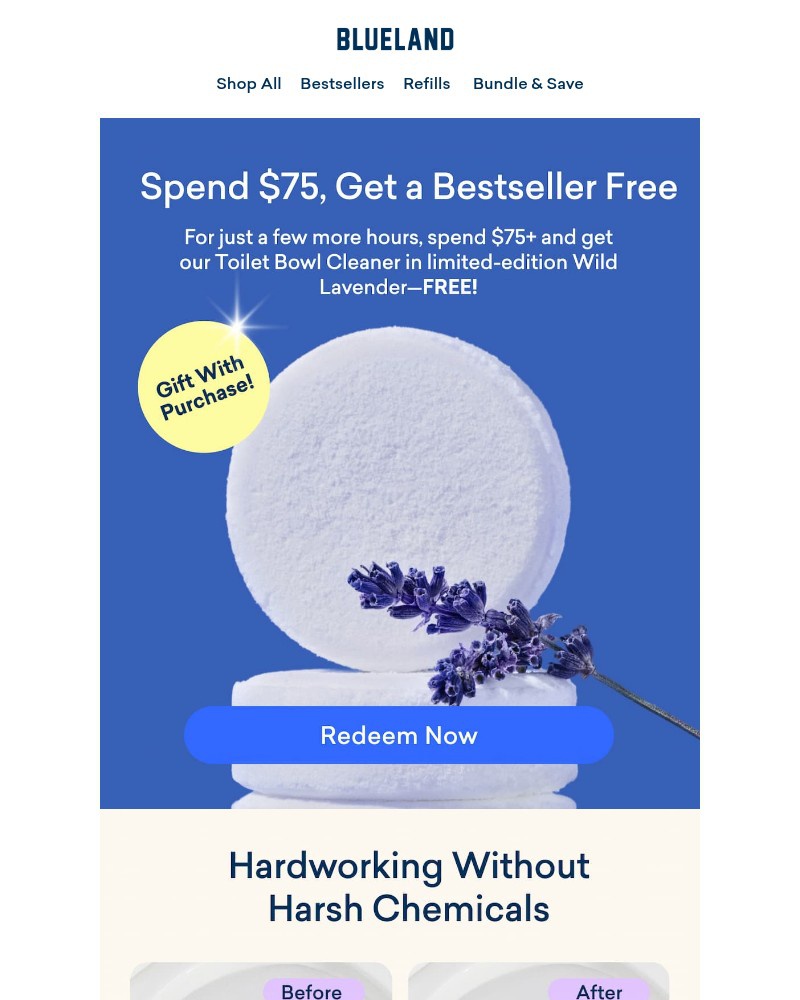 Screenshot of email with subject /media/emails/final-hours-get-our-bestselling-toilet-bowl-cleanerfree-2af531-cropped-50d4cc8d.jpg