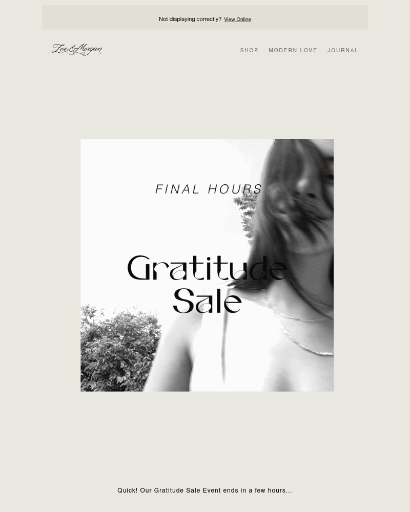 Screenshot of email with subject /media/emails/final-hours-gratitude-sale-b6393f-cropped-8a3960e8.jpg