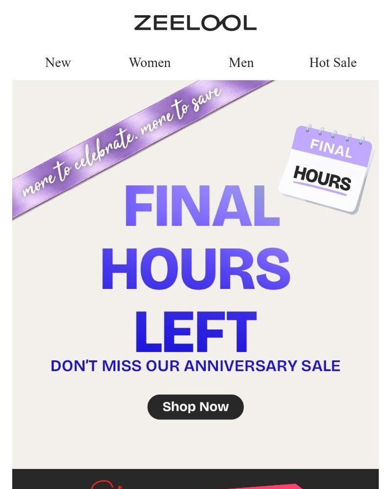 Screenshot of email sent to a Zeelool Newsletter subscriber