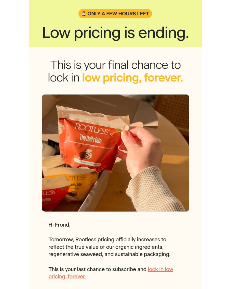 Screenshot of email sent to a Rootless Newsletter subscriber