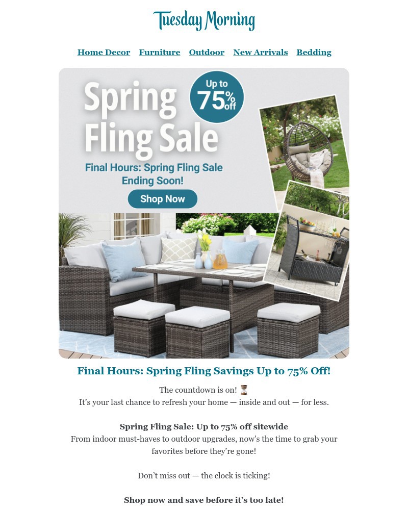 Screenshot of email with subject /media/emails/final-hours-lowest-price-of-season-up-to-75-off-spring-fling-ends-soon-e9d666-cro_mfsF0AM.jpg