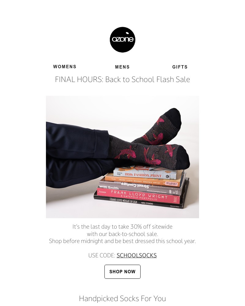 Screenshot of email with subject /media/emails/final-hours-of-back-to-school-savings-ad367c-cropped-ca3947ee.jpg